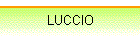 LUCCIO