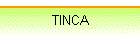 TINCA